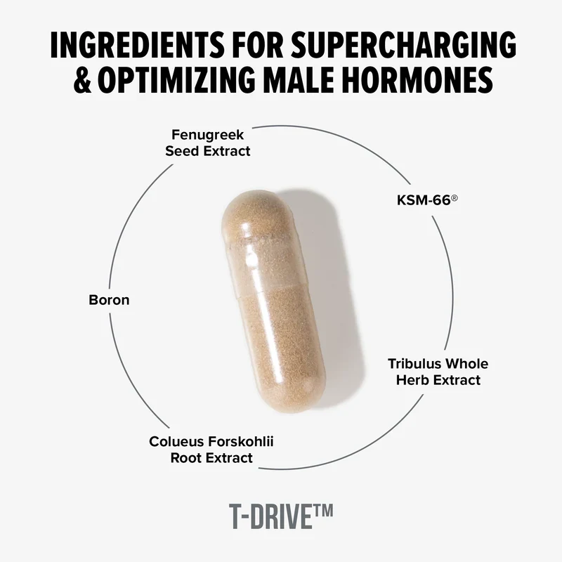 T-Drive™ - Image 4